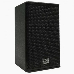 Колонка концертная Port Audio TDS110
