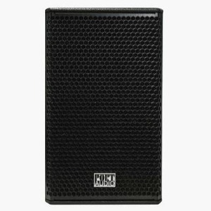 Колонка концертная Port Audio TDS110