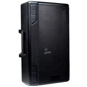 Колонка концертная Gemini GSP-5500
