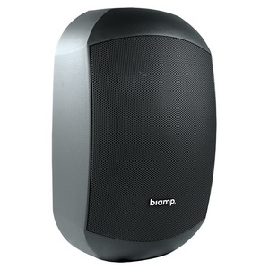 Колонка настенная Biamp MASK6CT-BL