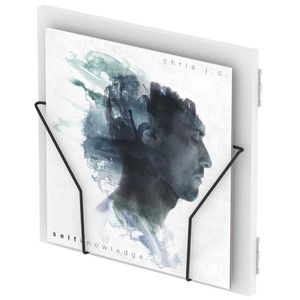 Система хранения виниловых пластинок Glorious Record Box Display Door White