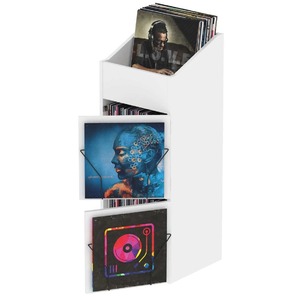 Система хранения виниловых пластинок Glorious Record Box Display Door White