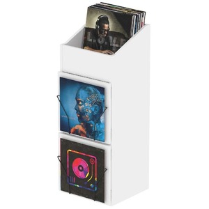 Система хранения виниловых пластинок Glorious Record Box Display Door White