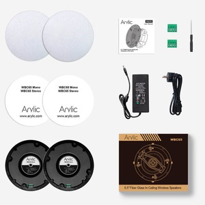 Колонка встраиваемая Arylic WBC65