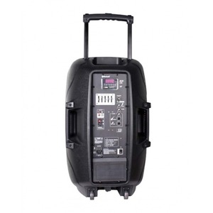 Колонка концертная Leem PR-15HR