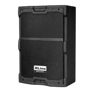 Колонка концертная Xline ALFA P-8A