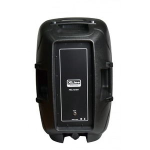 Колонка концертная Xline PRA-12 SET