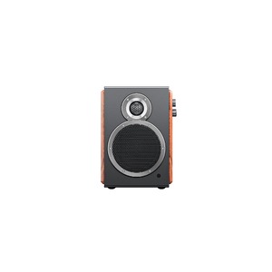 Колонка полочная FiiO SA1 (F3053S) Twilight Black