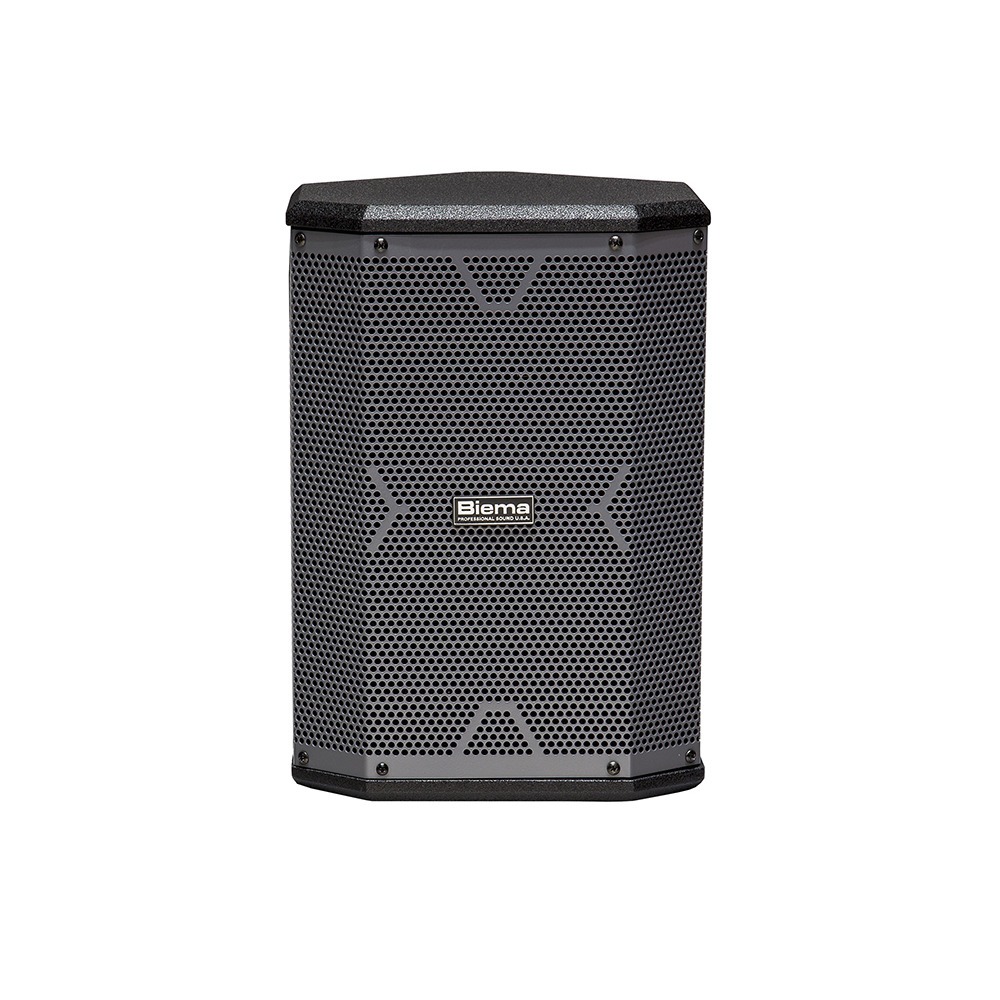 Колонка концертная Biema X-1