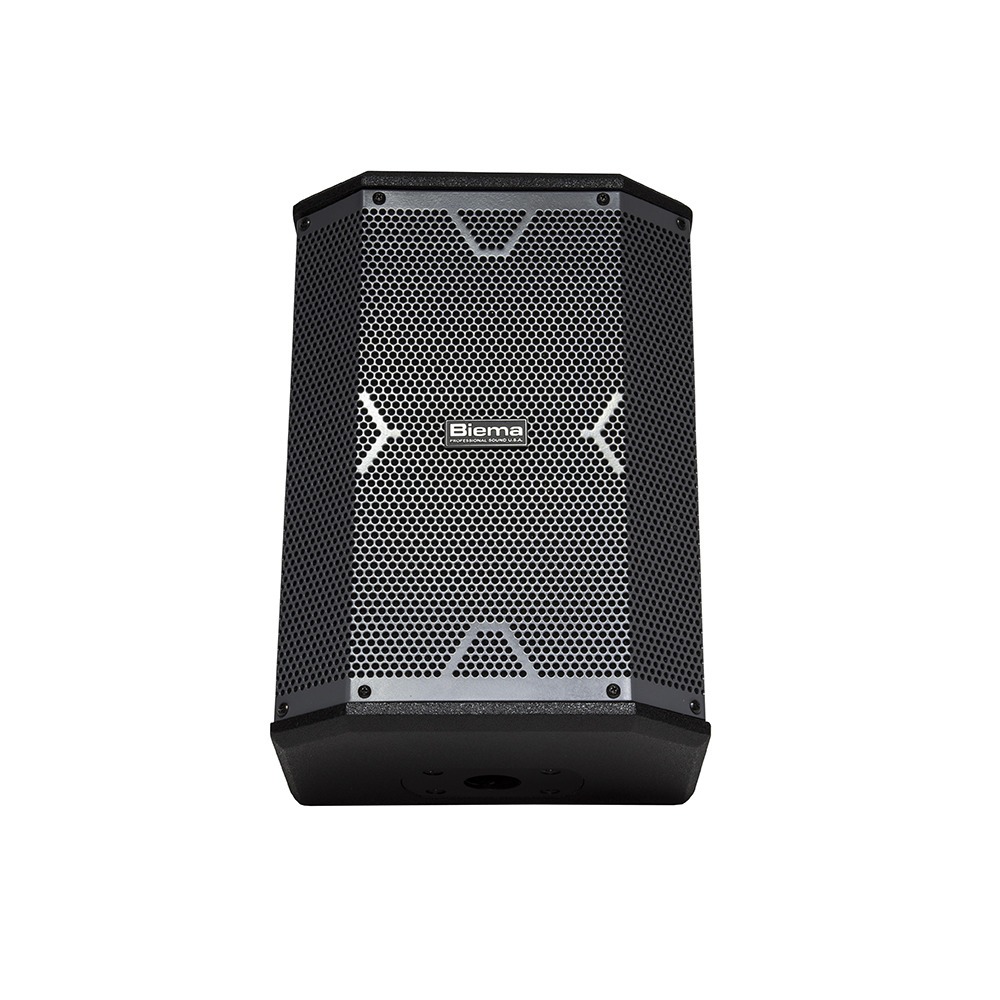 Колонка концертная Biema X-1