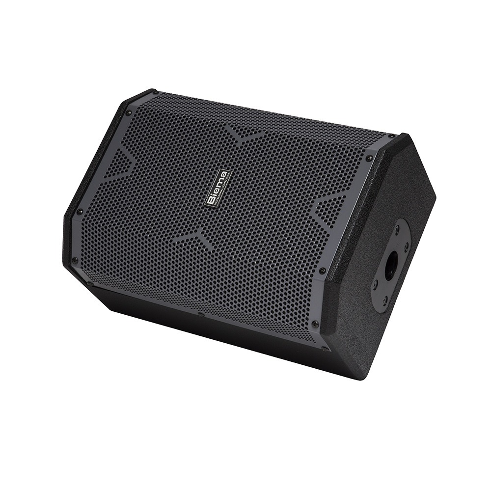 Колонка концертная Biema X-1