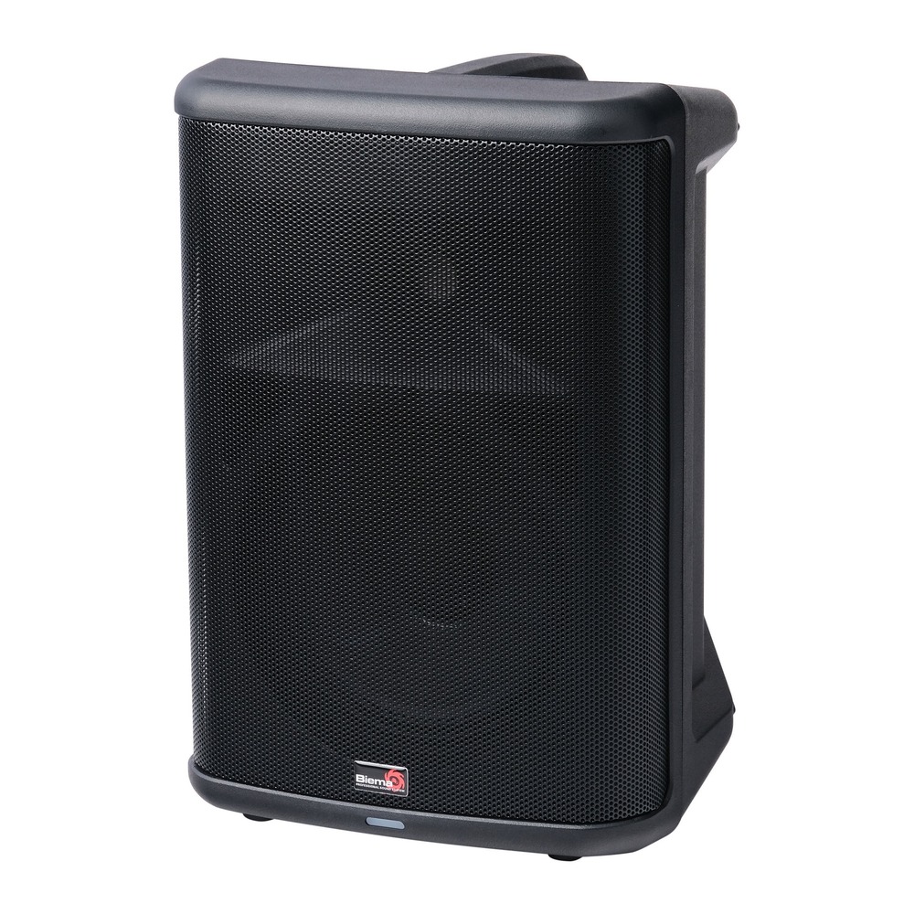 Колонка концертная Biema X 3