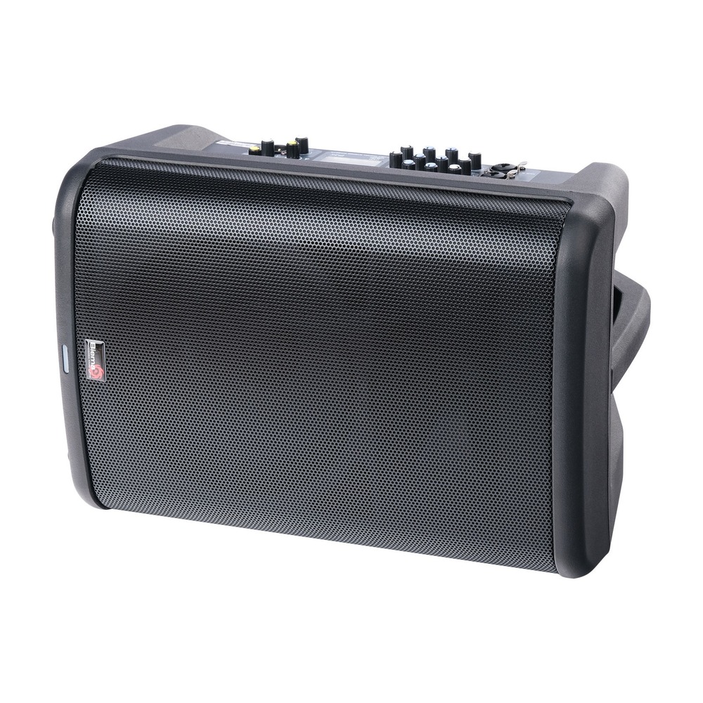 Колонка концертная Biema X 3