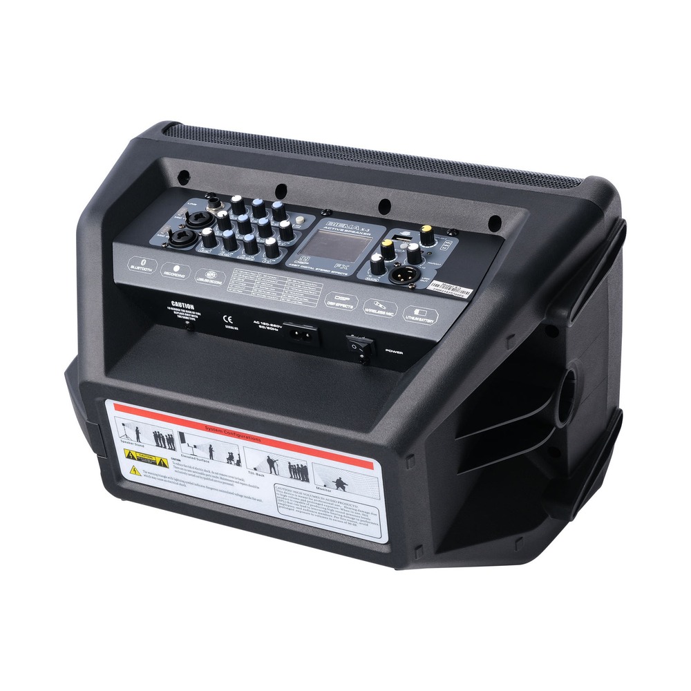 Колонка концертная Biema X 3