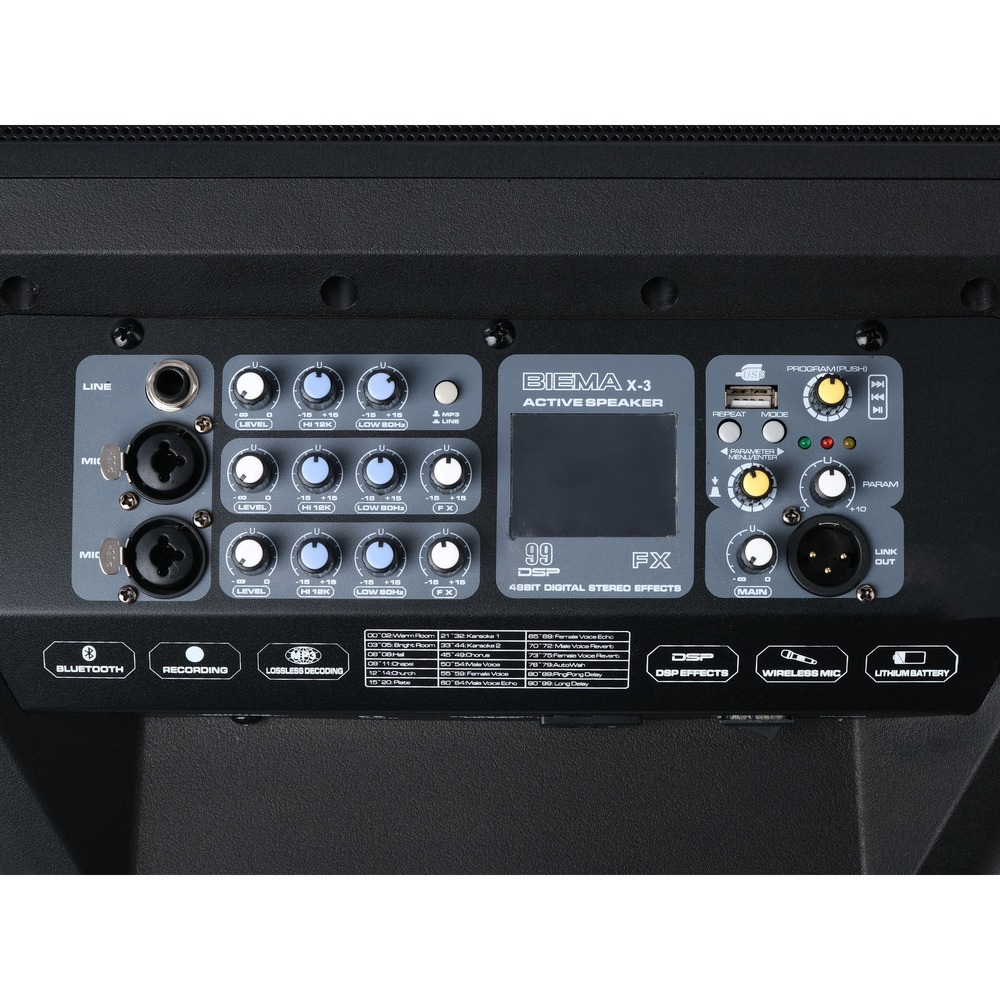 Колонка концертная Biema X 3