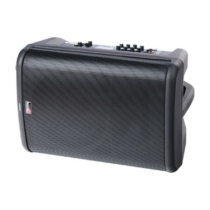 Колонка концертная Biema X 3