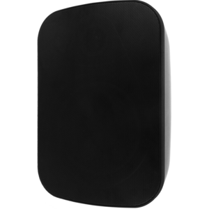 Колонка настенная SVS Audiotechnik WSP-6B PRO