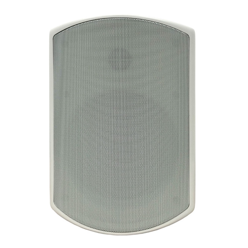 Колонка настенная SVS Audiotechnik WSP-6W PRO