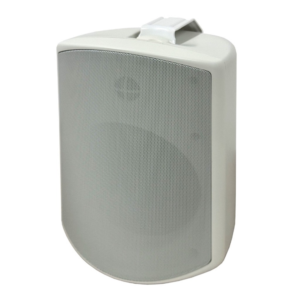 Колонка настенная SVS Audiotechnik WSP-6W PRO