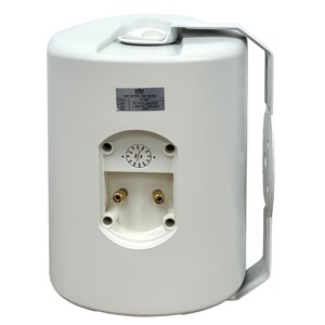 Колонка настенная SVS Audiotechnik WSP-6W PRO