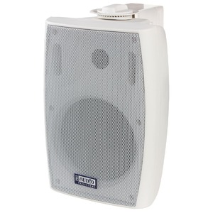 Колонка настенная ProAudio SWM-5B