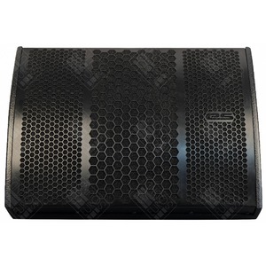 Колонка концертная Eurosound Bora Monitor