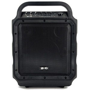 Портативная акустика B&G KPA-08WEN