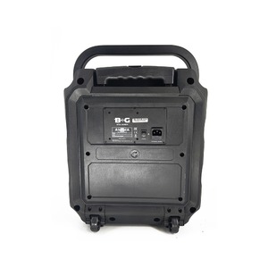 Портативная акустика B&G KPA-08WEN