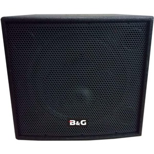 Сабвуфер концертный B&G EN-15ASUB