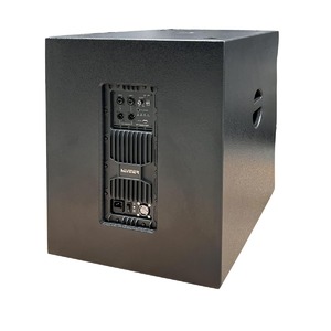 Колонка концертная Haymer PT18AS-DSP