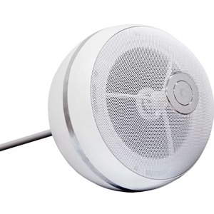 Колонка подвесная SVS Audiotechnik BWS-503