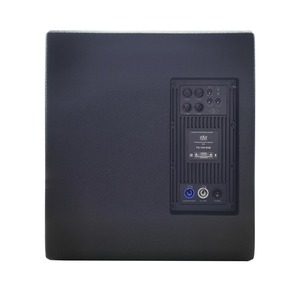 Сабвуфер концертный SVS Audiotechnik FS-15A SUB