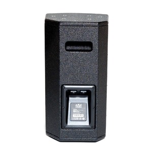 Колонка концертная SVS Audiotechnik ST-8