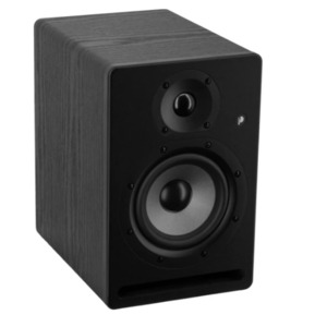 Студийный монитор Prodipe PRO5V4BW