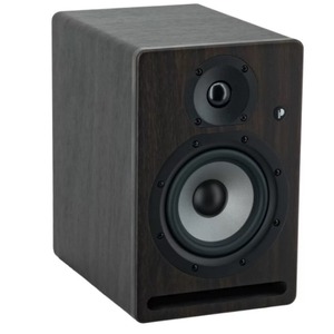 Студийный монитор Prodipe PRO5V4RW