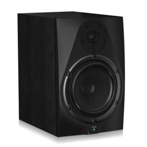 Студийный монитор ICON DT-8S