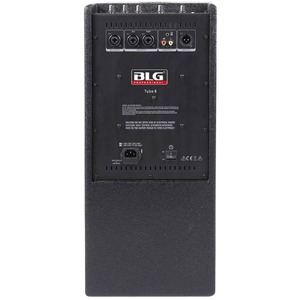 Колонка концертная BLG TUBE 8