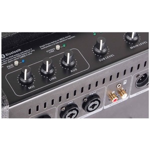 Колонка концертная BLG TUBE 8