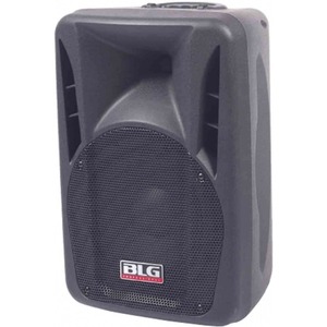 Колонка концертная BLG RXA12P966