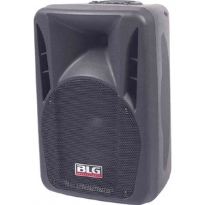 Колонка концертная BLG RXA15P966