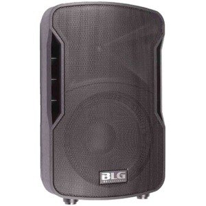 Колонка концертная BLG BP13-10A10