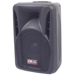 Колонка концертная BLG RXA08P966