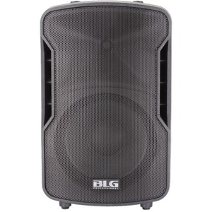 Колонка концертная BLG BP13-12A10