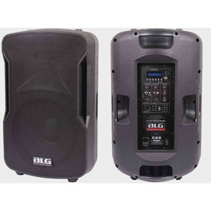 Колонка концертная BLG BP13-12A10