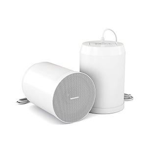 Колонка подвесная CVGaudio SPC6TW