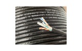 Кабель Витая пара Real Cable UTP600-OUT-DB 305.0m