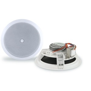 Колонка встраиваемая CVGaudio CPA6T