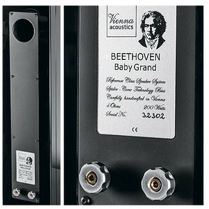 Колонка напольная Vienna Acoustics Beethoven Baby Grand Symphony Edition Rosewood