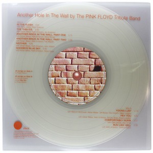 Виниловая пластинка LP The Pink Floyd Tribute Band - Another Hole In The Wall (8013252941016)