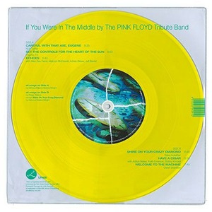Виниловая пластинка LP The Pink Floyd Tribute Band - The Dark Cloud Of The Moon (8013252940811)
